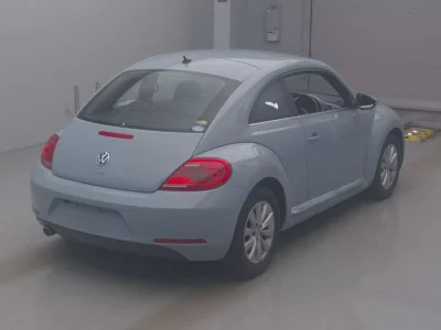 VOLKSWAGEN THE BEETLE