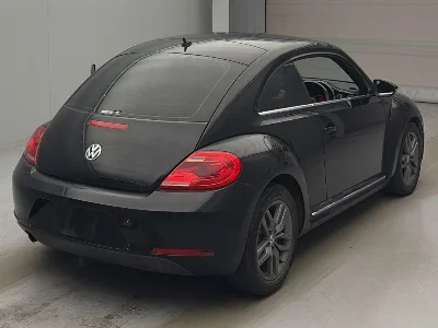 VOLKSWAGEN THE BEETLE