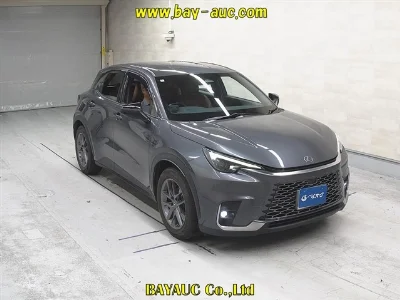 LEXUS LBX