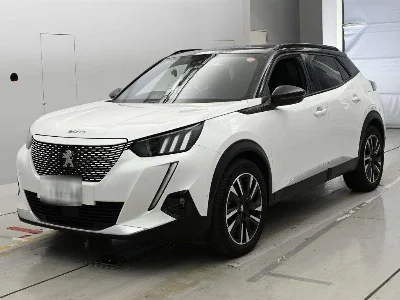 Peugeot e-2008
