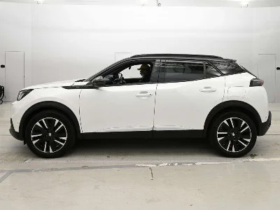 Peugeot e-2008