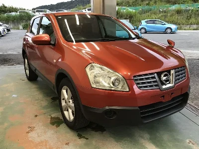 NISSAN DUALIS