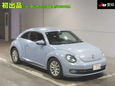 VOLKSWAGEN THE BEETLE