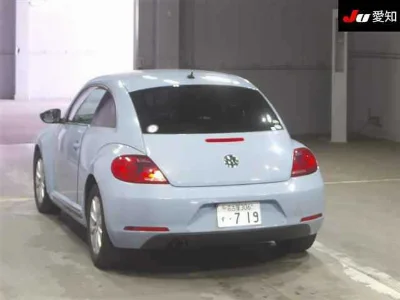 VOLKSWAGEN THE BEETLE