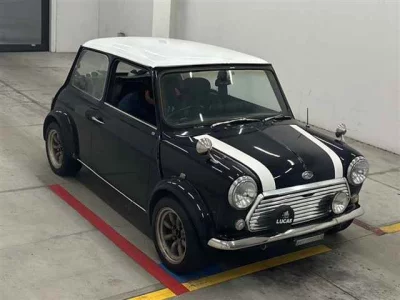 ROVER MINI