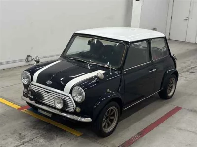 ROVER MINI