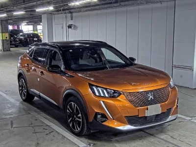 PEUGEOT E-2008