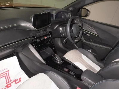 PEUGEOT E-2008