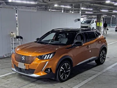 PEUGEOT E-2008