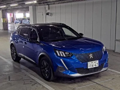 PEUGEOT E-2008