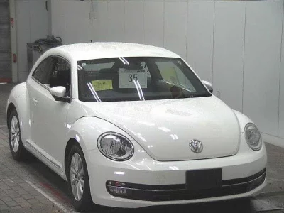 VOLKSWAGEN THE BEETLE