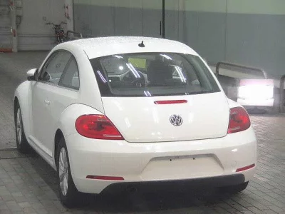 VOLKSWAGEN THE BEETLE