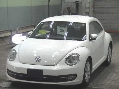 VOLKSWAGEN THE BEETLE