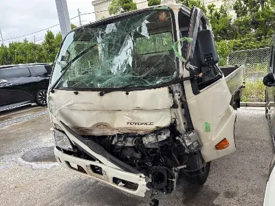 TOYOTA DYNA