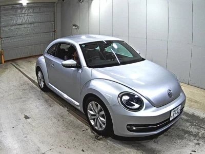 VOLKSWAGEN THE BEETLE