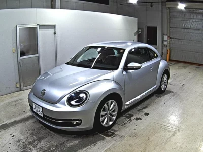 VOLKSWAGEN THE BEETLE