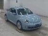 VOLKSWAGEN THE BEETLE