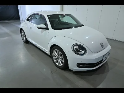 VOLKSWAGEN THE BEETLE