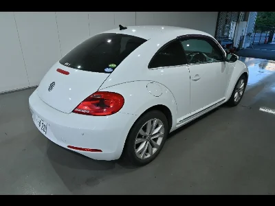 VOLKSWAGEN THE BEETLE
