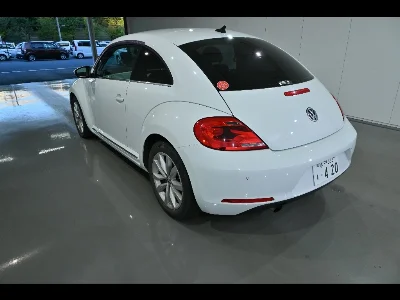 VOLKSWAGEN THE BEETLE
