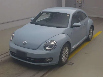 VOLKSWAGEN THE BEETLE