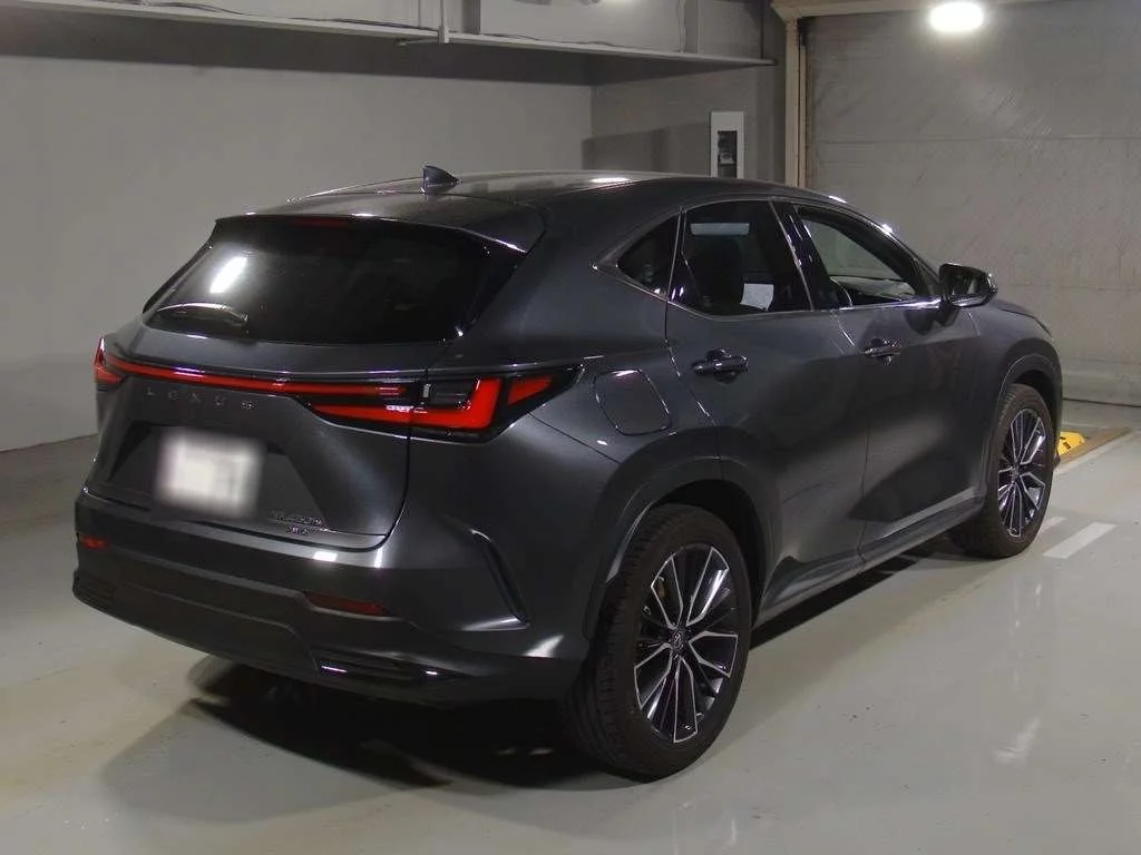Lexus NX450h+ Version L 4WD, миниатюра 2