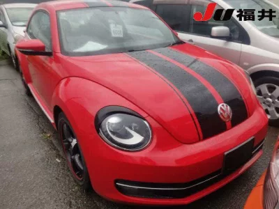 VOLKSWAGEN THE BEETLE