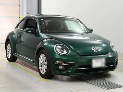 VOLKSWAGEN THE BEETLE