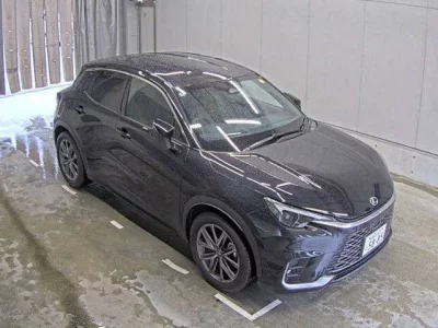 LEXUS LBX