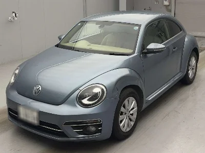 VOLKSWAGEN THE BEETLE