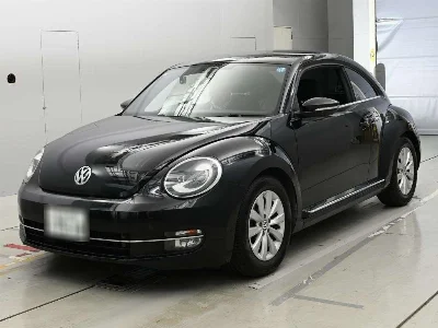 VOLKSWAGEN THE BEETLE