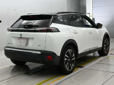 PEUGEOT E-2008