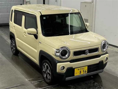 SUZUKI HUSTLER
