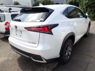 Lexus NX300h