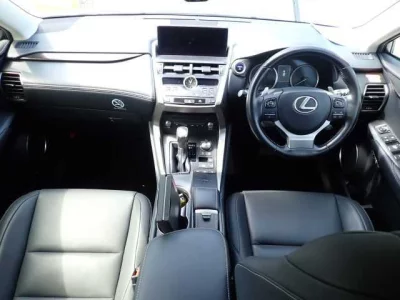 Lexus NX300h
