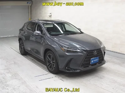 Lexus NX250