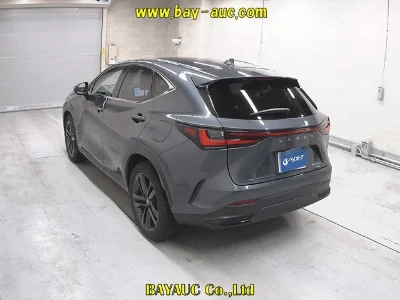Lexus NX250