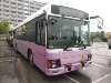 HINO BUS