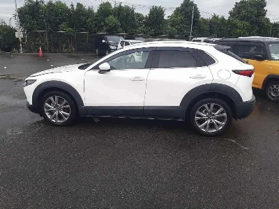 Статистика аукционов Mazda CX-30