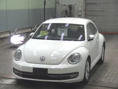 VOLKSWAGEN THE BEETLE