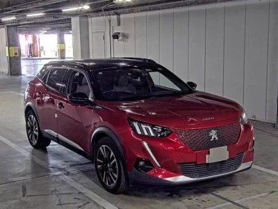 Peugeot E-2008
