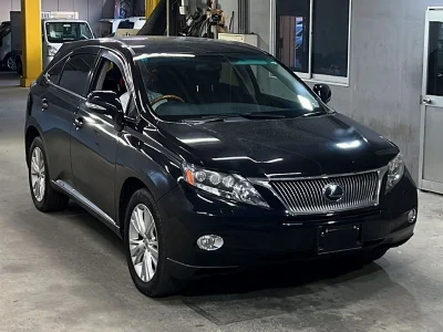 LEXUS RX