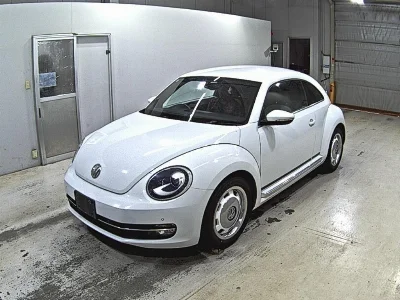 VOLKSWAGEN THE BEETLE