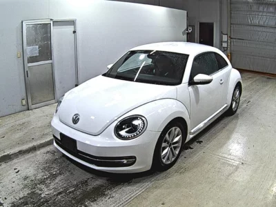 VOLKSWAGEN THE BEETLE