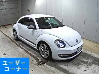 VOLKSWAGEN THE BEETLE