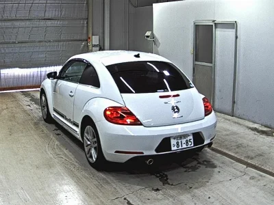 VOLKSWAGEN THE BEETLE