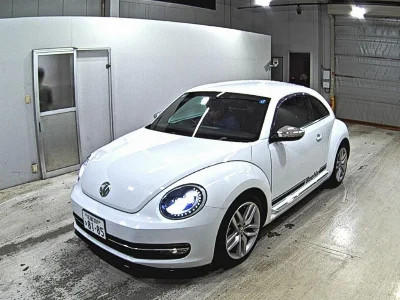 VOLKSWAGEN THE BEETLE