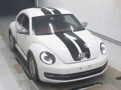 VOLKSWAGEN THE BEETLE