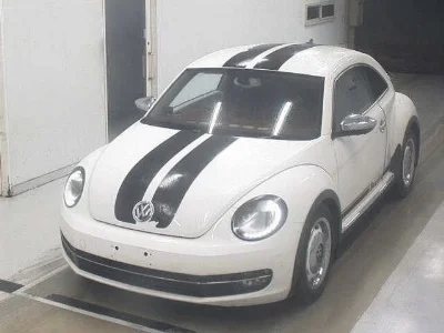 VOLKSWAGEN THE BEETLE