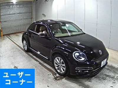 VOLKSWAGEN THE BEETLE